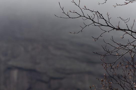 Smokefall - Promo Image W20 - winter landscape scene